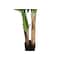Monarch Specialties Artificial Plant, 55" Tall, Banana Tree, Indoor, Faux, Fake, Floor, Greenery, Potted, Real Touch I 9568 - alternate 2